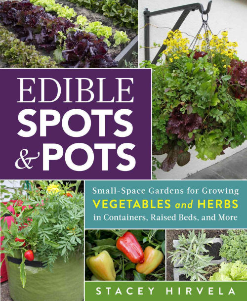 Edible Spots & Pots